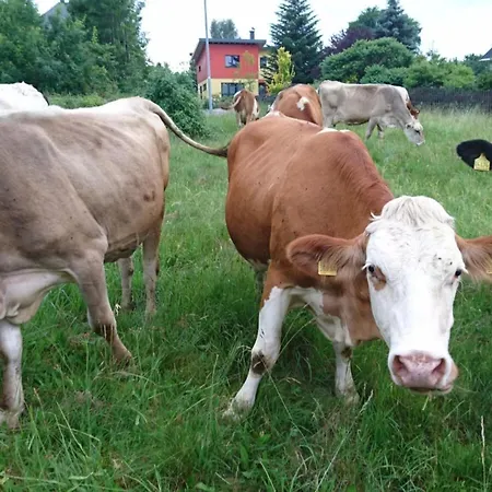 Appartamento Gutsweg One - 2 Eibenstock